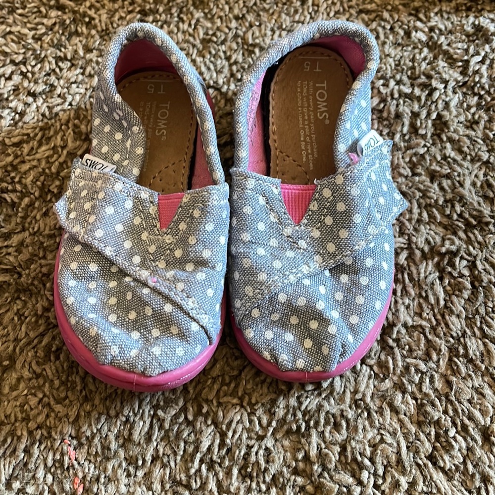 Adorable T5 Toms